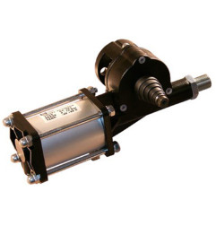 CP 101 / Vérin pneumatique (WAM)