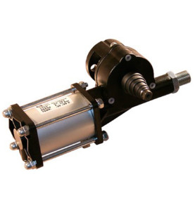 CP 101 / Vérin pneumatique (WAM)
