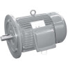 Moteur IP55 IE2