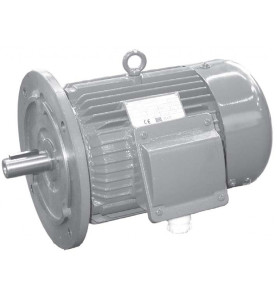 Moteur IP55 IE2